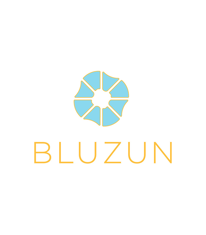 bluzun logo