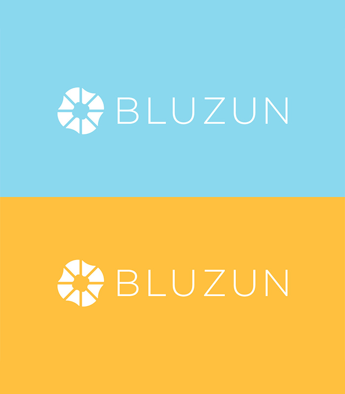 bluzun logos